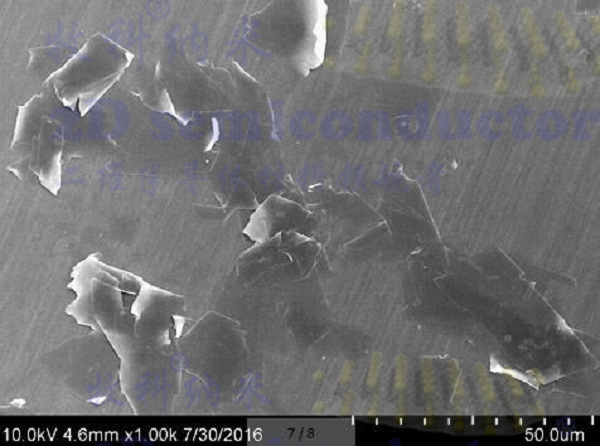 62eb8f662fb19.jpg BP-NSS-SEM-帶水印.jpg